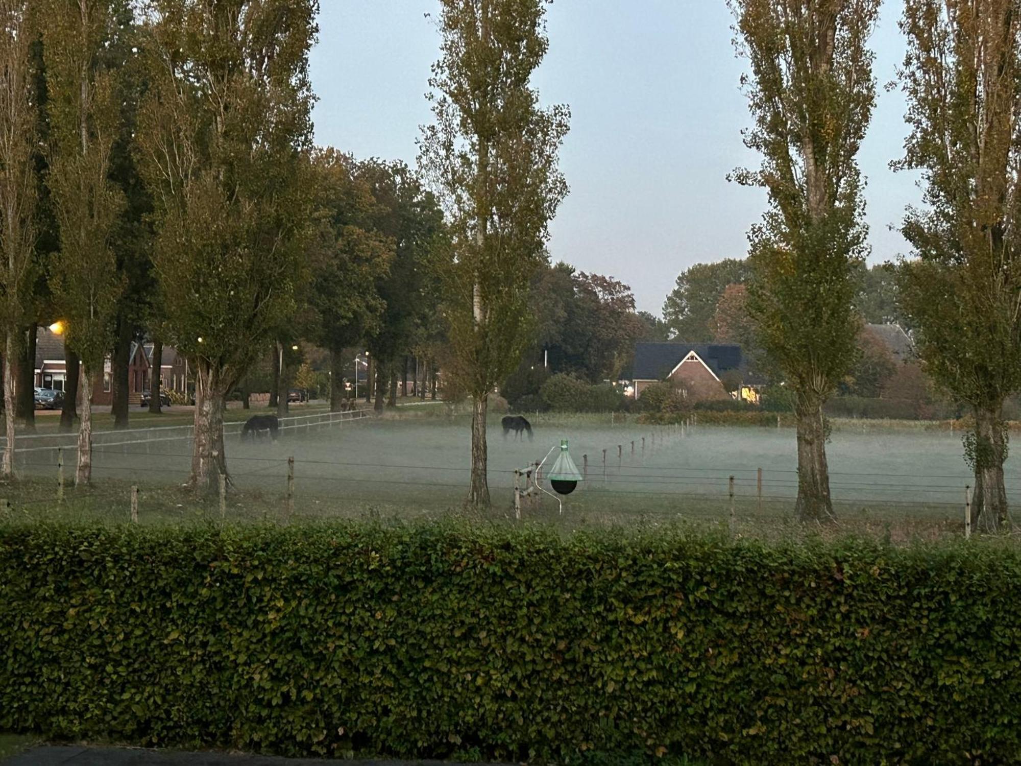 De Cordobahoeve Tweede Exloermond Exterior foto