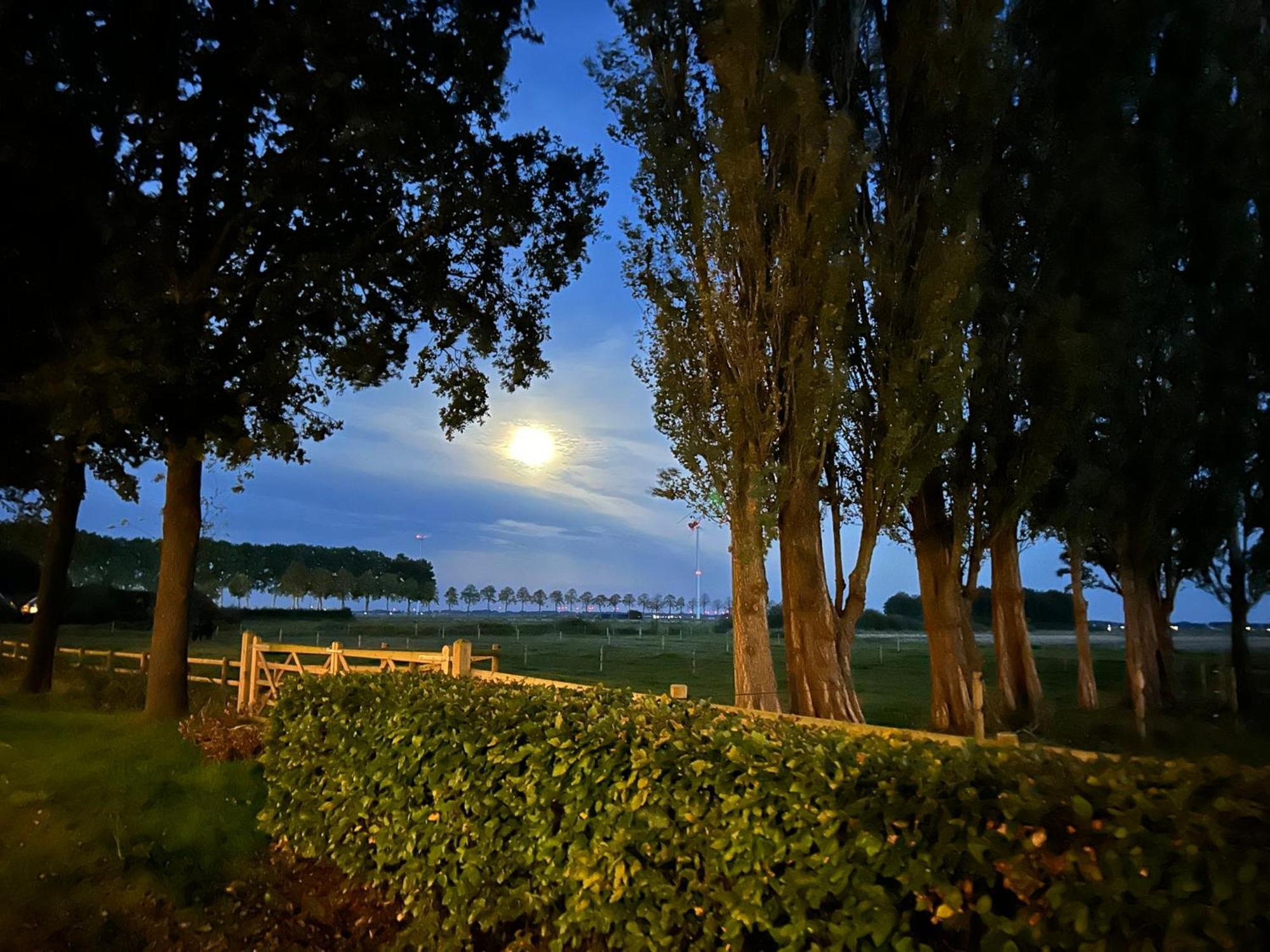 De Cordobahoeve Tweede Exloermond Exterior foto