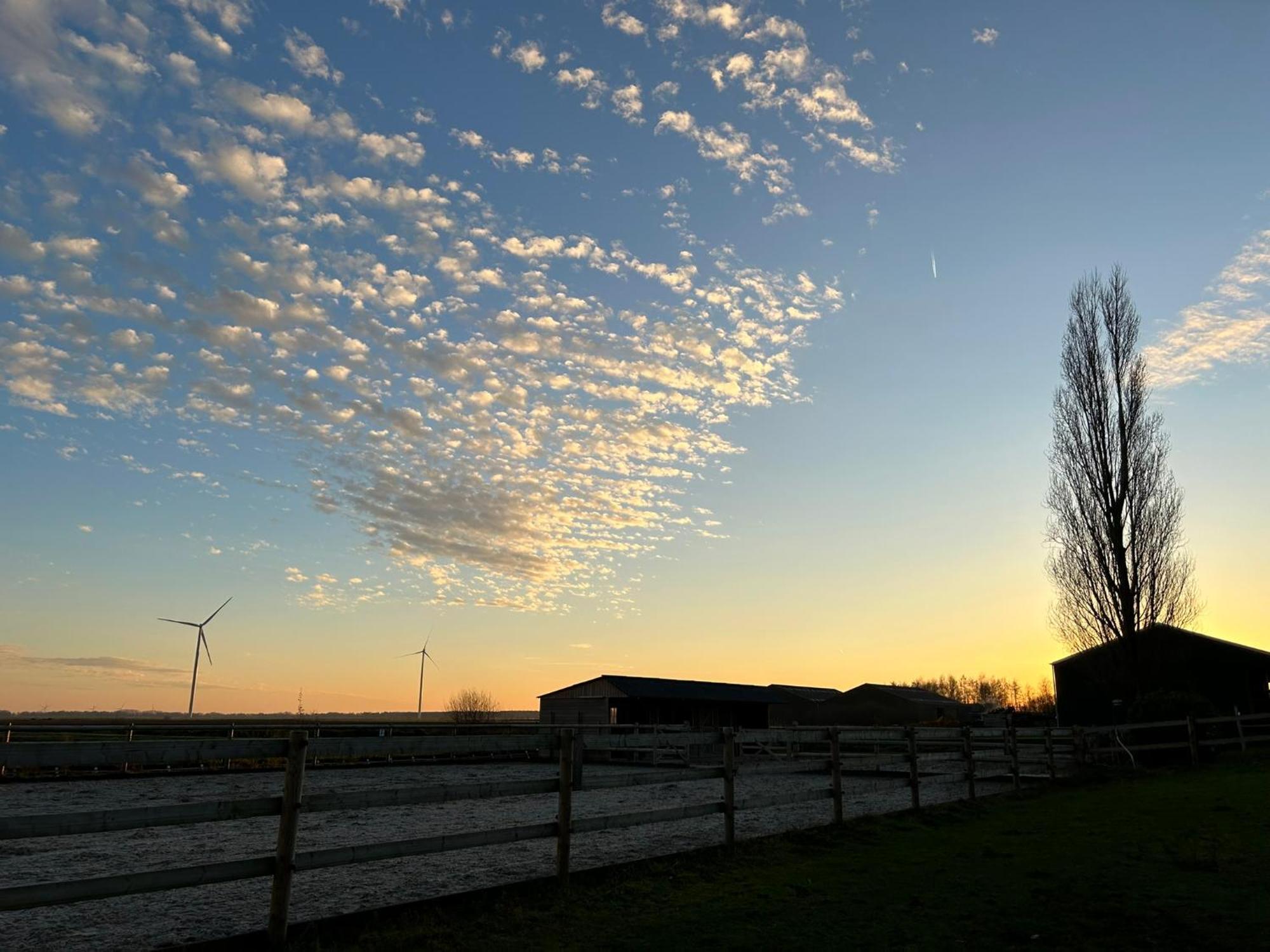 De Cordobahoeve Tweede Exloermond Exterior foto